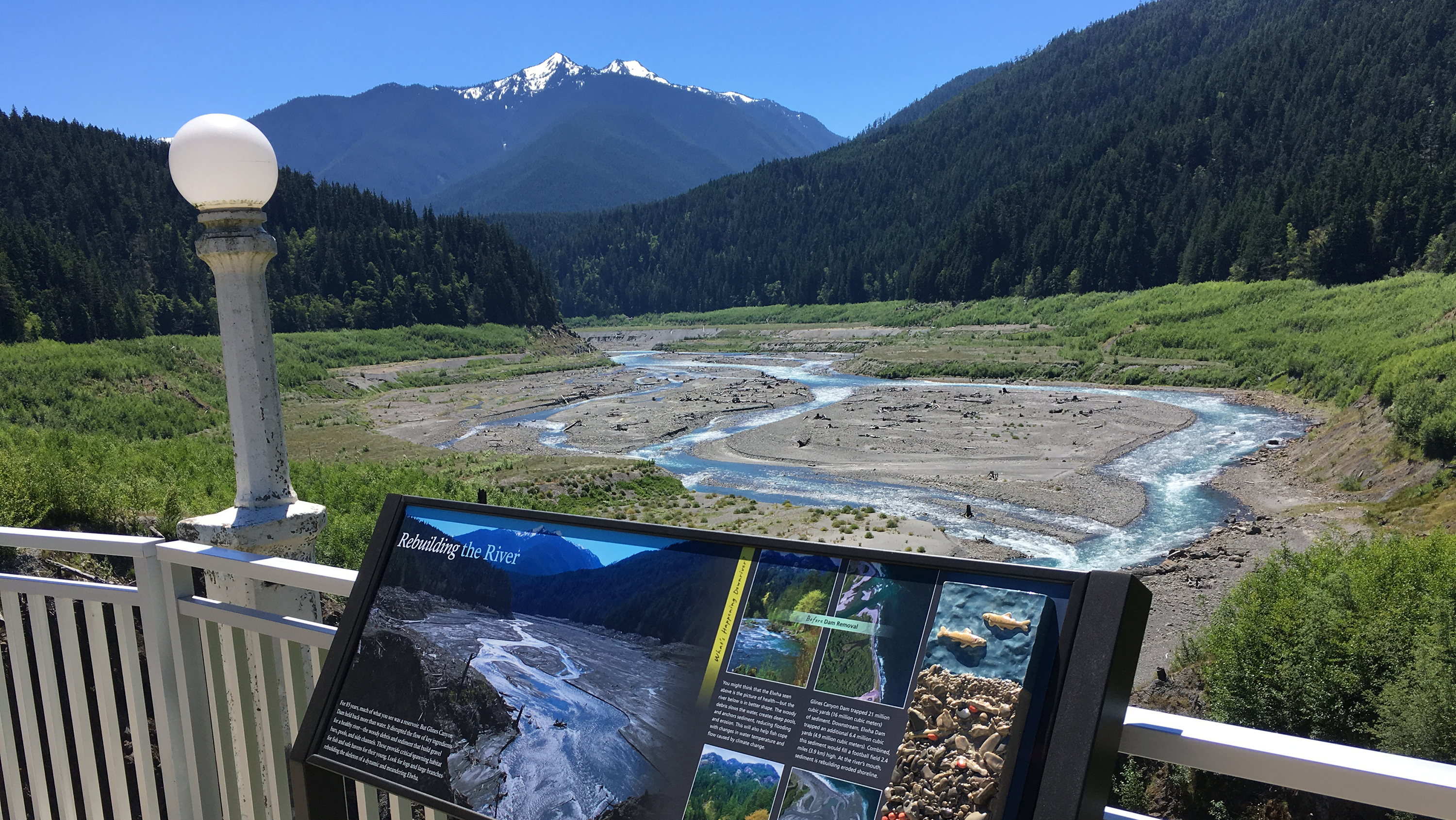 The Elwha River Delta before and after the dams were removed.